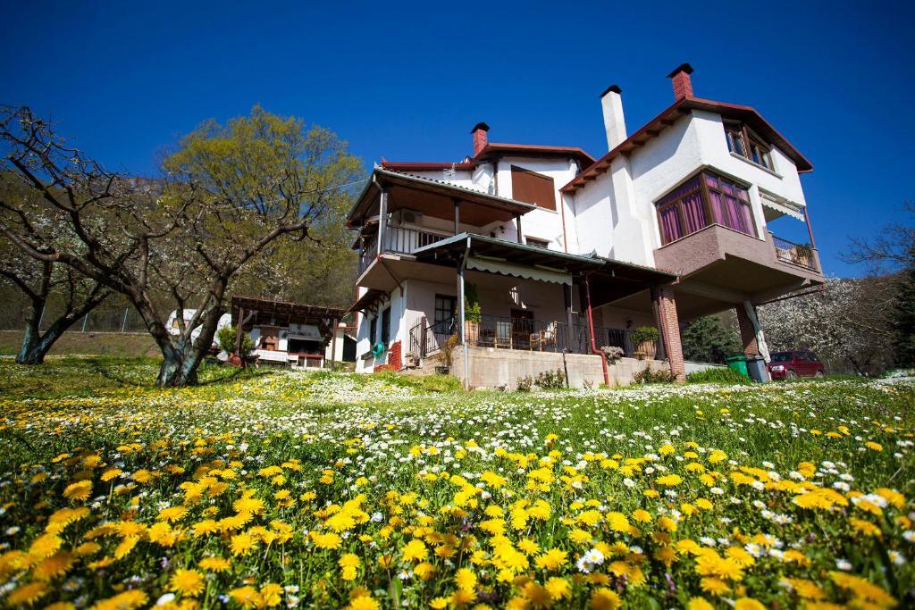 Militsa Guesthouse Naousa  Exterior photo